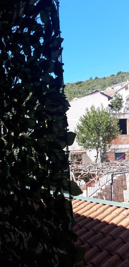 Apartments Krapina Lux Budva Exterior foto